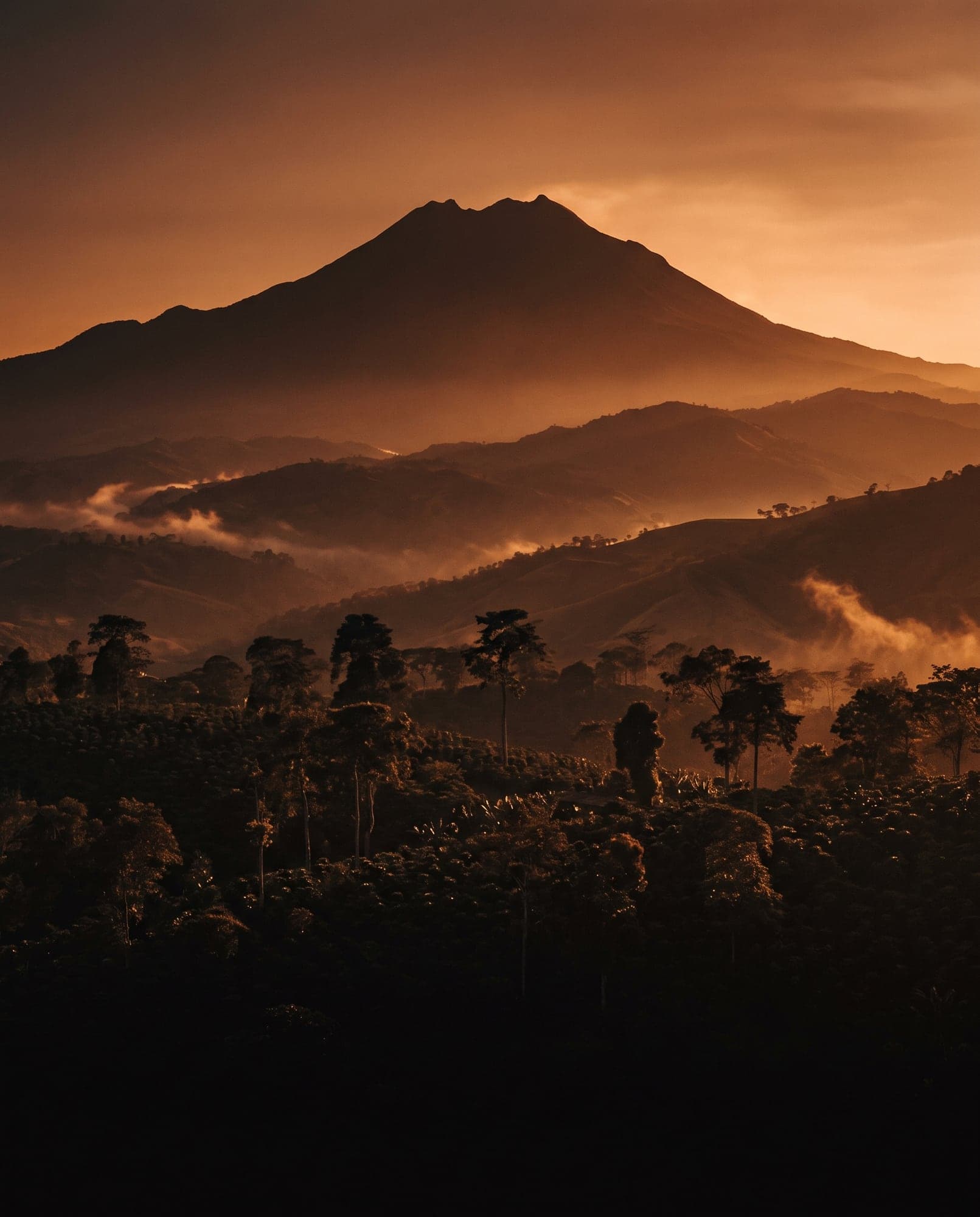 El volcán Barú sobre fincas de café en Chiriquí.
